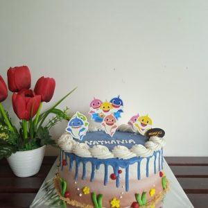Kue Ulang Tahun Custom Cake Tema Baby Shark