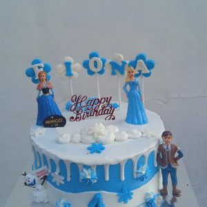 Kue Ulang Tahun Custom Cake Tema Frozen